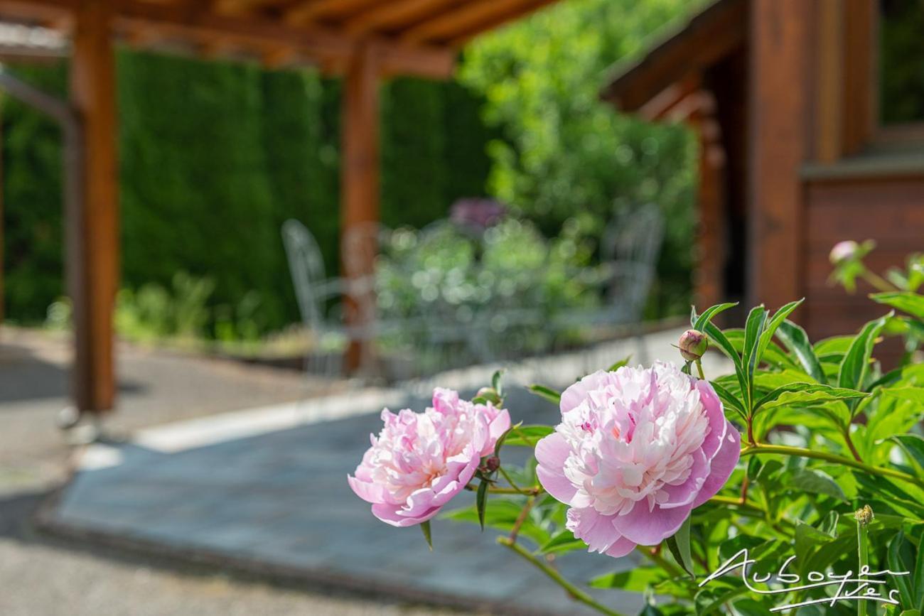 Chalet La Calougeotte, Jardin, Spa Et Sauna Prives Le Menil Екстер'єр фото